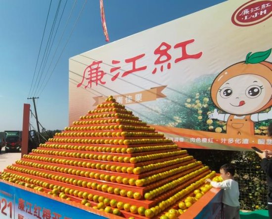 2021廉江红橙开采仪式暨产销对接大会在廉江高桥橙园举行