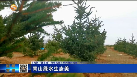 《天祝“强县域”行动见闻》系列特别报道（一）青山绿水生态美