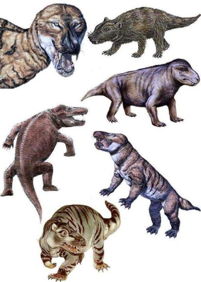 <em>恐龙</em>若不在6500万年前灭绝会<em>进化</em>到文明<em>阶段</em>吗？有一种<em>恐龙</em>很...