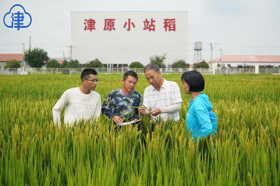 于福安：做水稻种子“芯片”<em>与栽培技术</em>的创新先锋