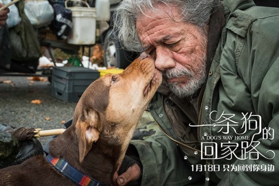 《<em>一条狗的回家路</em>》发布中国风海报