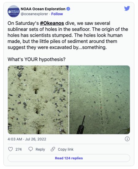外媒：神秘的海底洞状结构难倒海洋<em>科学家</em>
