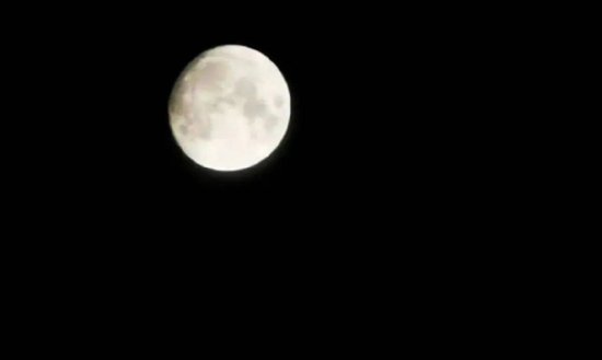 徐磊乐：我想你看过最美的月光，就是回家的方向