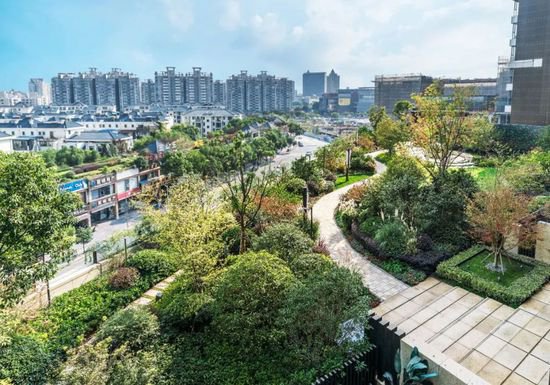 “见缝插绿”打造立体绿化 三年在上海空中长出128万平方米