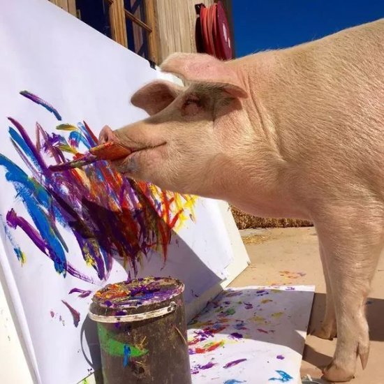 一头待宰肉猪画了幅画，卖出27000 镑，猪生逆袭被赞似“毕加索...