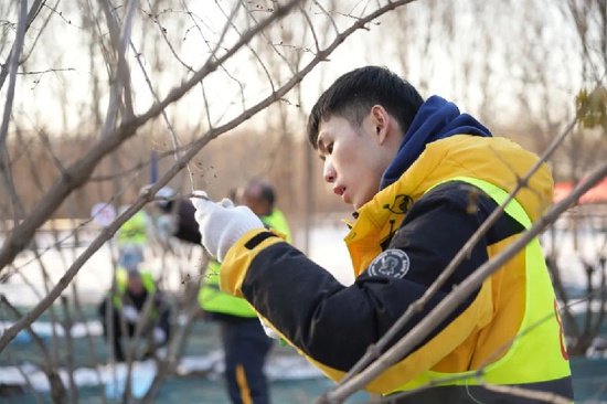 北京大兴区2024年园林绿化职业技能竞赛落幕