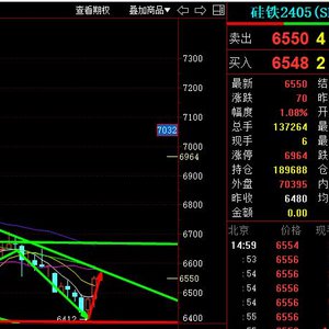 <em>长江有色：市场</em>整体交投情绪回暖，19日硅铁上涨