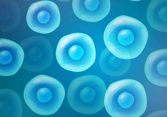 干细胞可以<em>治疗卵巢早衰</em>吗，干细胞<em>治疗</em>卵巢衰退的效果