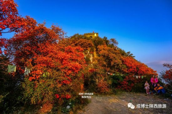 关于圭峰山秋季赏红叶的15个问题及答案，看完自己选择去还是不...