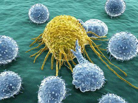 酸"是癌症的重要帮凶！《细胞》论文解开肿瘤嗜酸如<em>命的</em>谜团：...