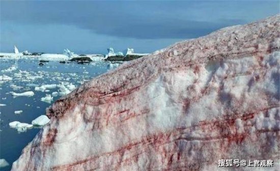 南极出现血红色的雪，为我们敲响警钟，又在<em>预示</em>些<em>什么</em>？