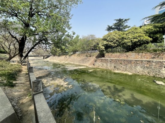 郑州金水河被排污有异味？多部门积极介入查找源头