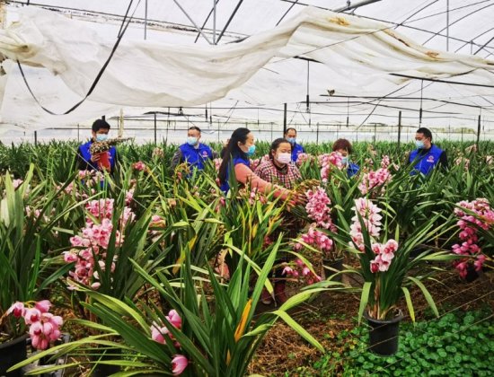 什邡市退役军人事务局工会帮助残疾花农销售鲜花