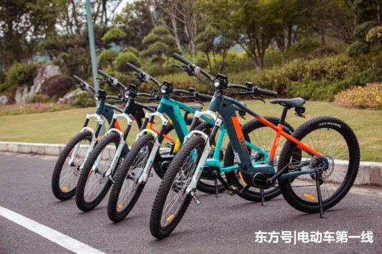 雅迪又推一款电踏车，配备OKAWA中置<em>电机</em>，续航100km！