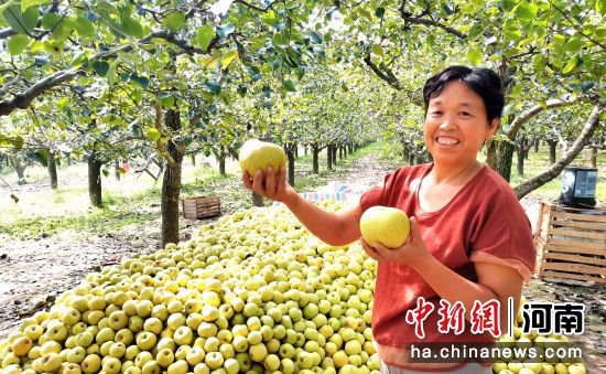 品酥梨、赏非遗，2023年中国农民丰收节<em>商丘市主</em>会场活动丰富