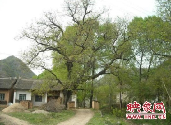 灵宝市朱阳镇两岔河村入选第五批中国传统村落