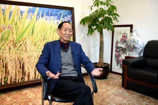 与学生交往1个月就闪婚，袁隆平，是如何成为中国<em>杂交水稻</em>之父的