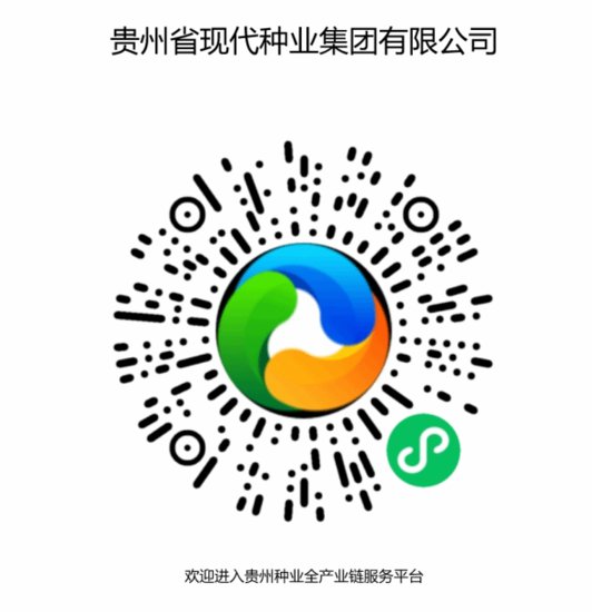 贵州种业全产业链服务平台搭建<em>种子</em>产业生态全链条