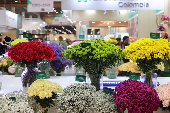 组图：哥伦比亚花卉展美轮美奂