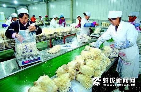 王诚赴<em>怀远</em>县调研农业产业化和农民增收工作