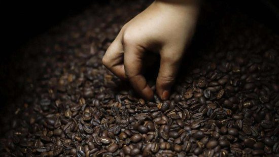 海关总署：允许符合要求的洪都拉斯<em>咖啡豆</em>和香蕉进口