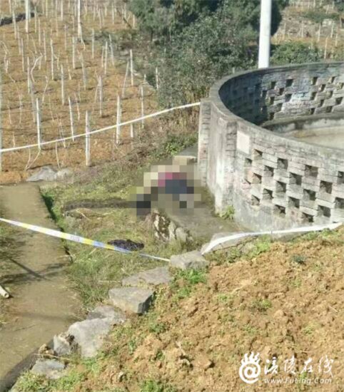 重庆女子疑因家庭矛盾携子跳池塘自杀 致其子溺亡