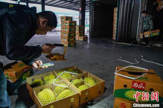 东南亚水果“跨境春运” “抢”鲜中国年货市场