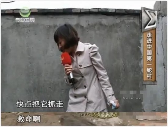<em>中国最恐怖</em>农村：800人养300万条蛇，把央视记者都吓坏了！