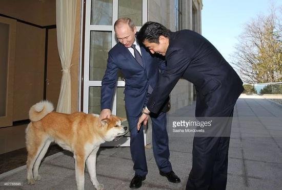 <em>日本</em>又送俄罗斯<em>秋田犬 哪些</em>动物还当过"外交大使"?