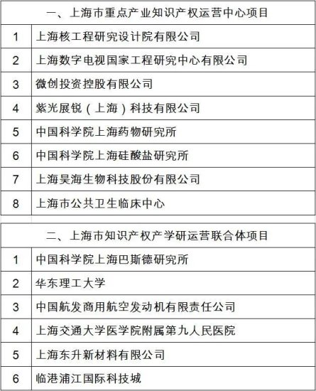 第三批<em>上海</em>市知识产权运营服务体系<em>建设</em>项目承担单位的通知