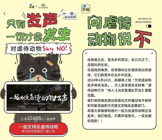 为流浪动物发声！街猫首推“反虐待动物主题宣传月”活动
