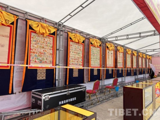 西藏昌都：特色产品齐聚天津广场