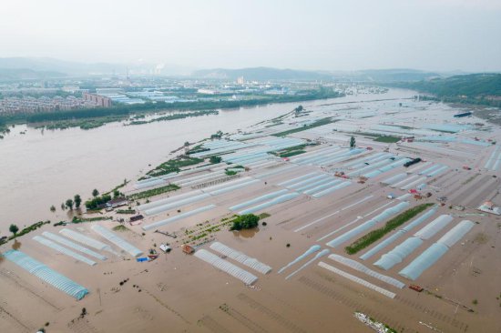 紧急驰援战洪水 全力以赴保安全——黑龙江抗击洪灾扫描