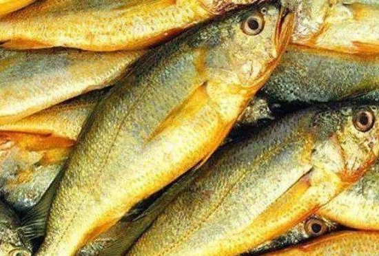中国最好吃的“4种鱼”，最后一种比黄金还贵，吃过的是真土豪