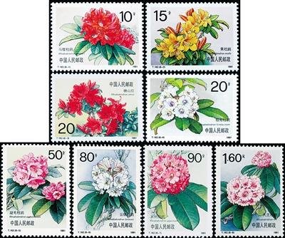 《杜鹃花》特种邮票1991年发行 全套8枚