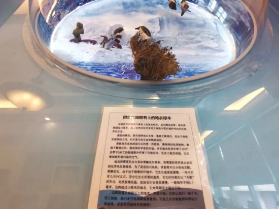 仙霞高级中学打造了一座“海洋科普馆”