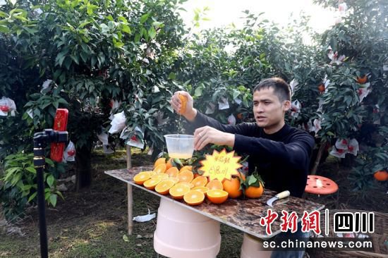 丹棱：以橘为“心”强产业 助农增收共富裕