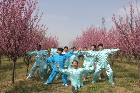 开发区沙河城镇举办第三届梅花节
