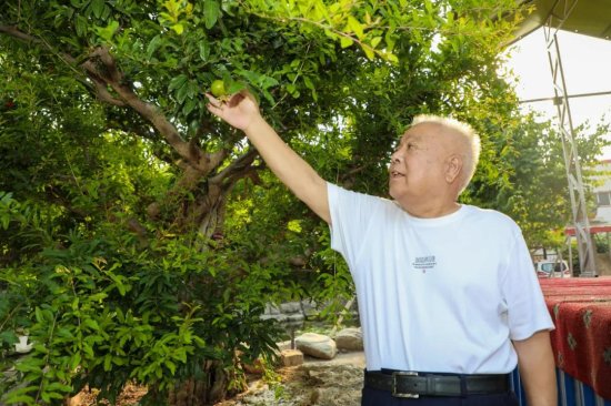 啥<em>叫商丘</em>“真富豪”：80余岁老人打造60余亩私家园林！