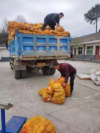 达州万源：农技人员下基层 抢抓马铃薯最佳播种期