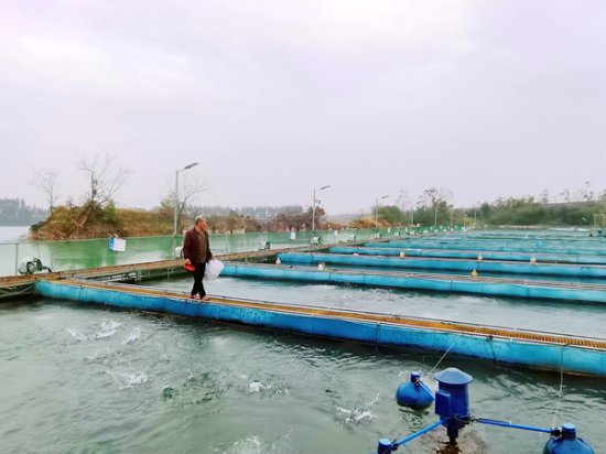 广西桂平发展淡水养殖 促进鱼肥民富