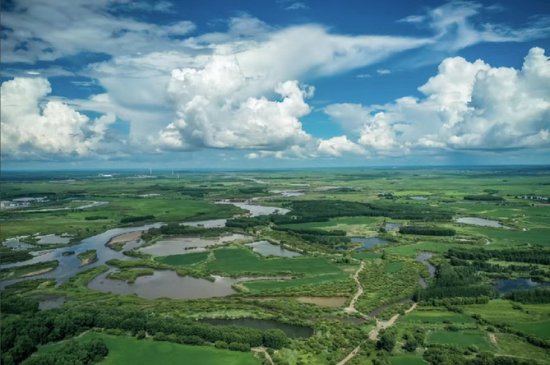 讷河大豆：从传统农业到现代化产业链的转型之路
