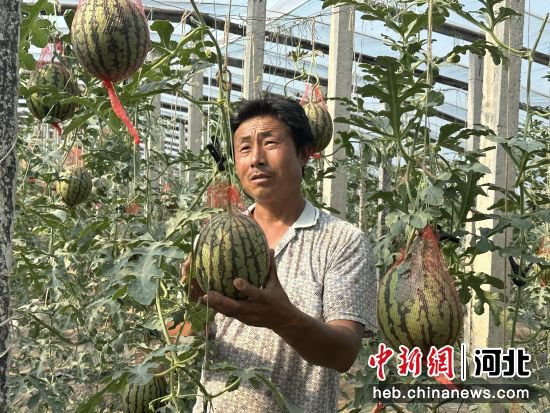 秦皇岛卢龙：发展特色农业 助农增收致富