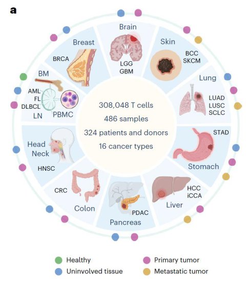 王淩华绘制泛癌T细胞图谱，利用大数据对抗癌症