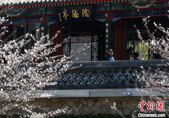海棠春花文化节将在北京<em>陶然亭</em>公园开启 北美海棠品种亮相