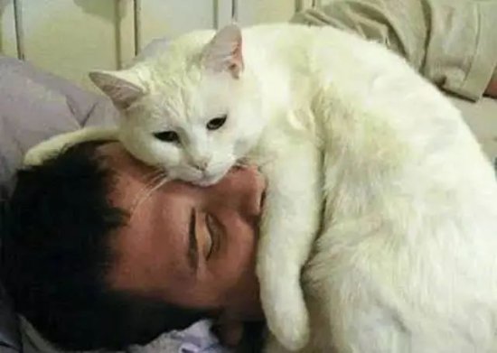 猫咪老是喜欢<em>在你</em>身边睡觉，除了爱你，这几点你知道吗？