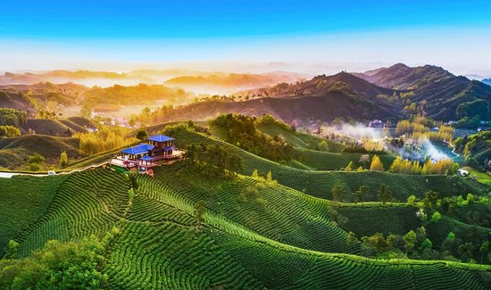<em>信阳市</em>浉河区：拓宽茶产业链 激发增长新动能