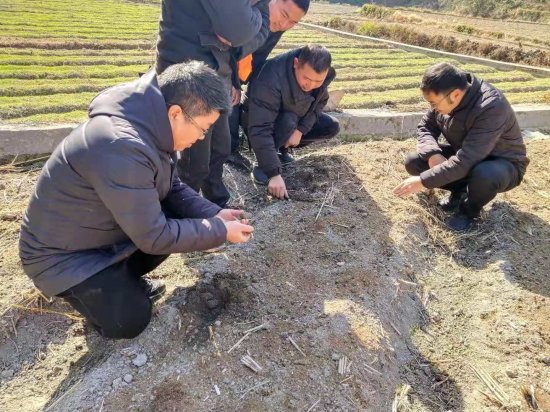 县科协在东源镇平溪村举办药稻轮作栽培技术培训班