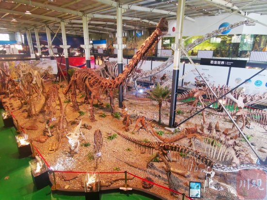 世界之最！崇州这家博物馆里藏着一条身长近40米的化石<em>恐龙</em>