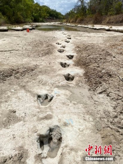 干旱导致河流干涸 美国一公园河道内发现1.13亿年前<em>的恐龙</em>足迹